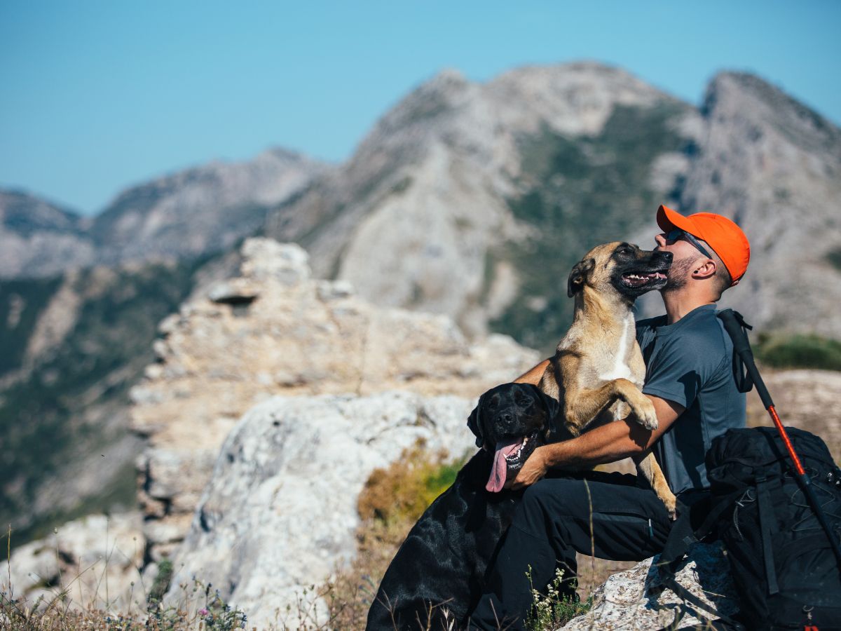 viajar a peru con mascotas